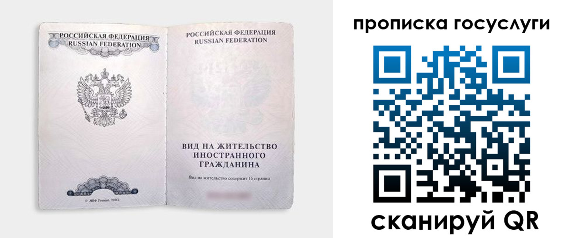 прописка поиск в Тимашёвске